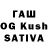 Amphetamine Premium Shahzot Kasimov