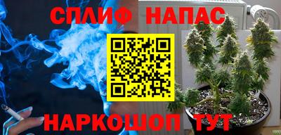 винт Владимир