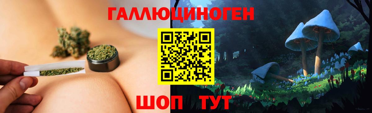 Стерлитамак  Псилоцибиновые грибы MAGIC MUSHROOMS  Вход с VPN 